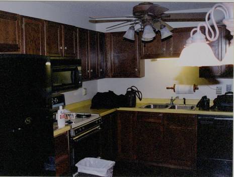 Fully furnished kitchen with lights, fridge, sink and stove.