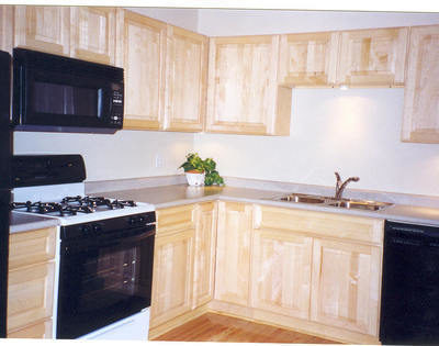 Appliances sit in light colored wood cabinets and counters.
