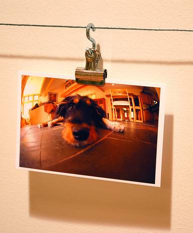 "A Photo is hanging with the Clip"