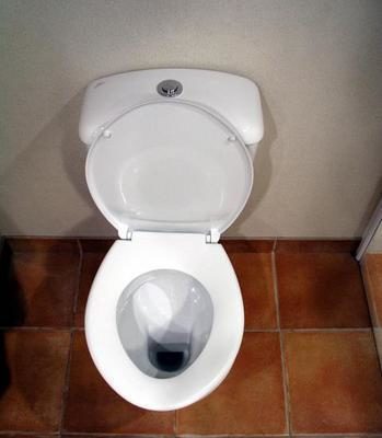 "A white and Clean Commode in a Toilet"