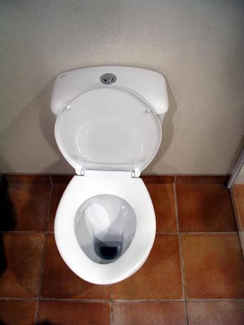 "A white and Clean Commode in a Toilet"