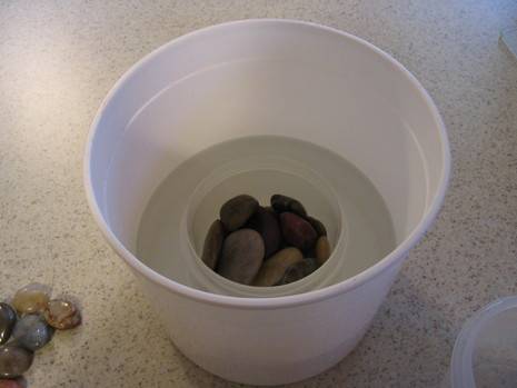 Rocks are sitting in the middle of a white container.