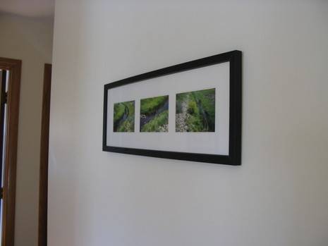 A picture hanging on the wall with three shots of a stream.