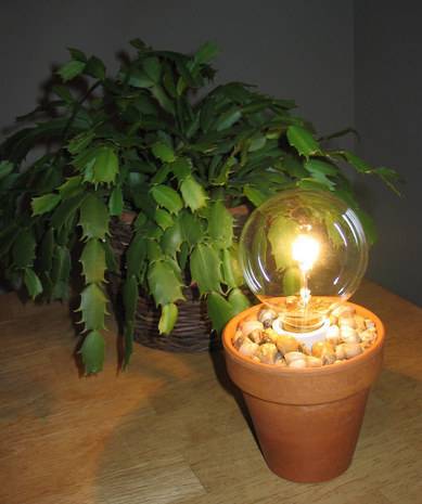 Potted light bulb and potted indoor plant.
