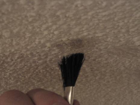 "Brush to be used on Ceilings"