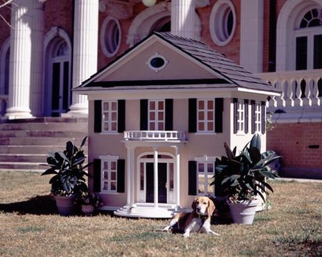 A dog is sitting in front of a dog house and the dog house is in front of a big bungalow.