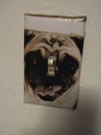 A light switch plate with a picture of a pug on it.