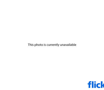 A blank Flickr screen saying "this photo is currently unavailable".