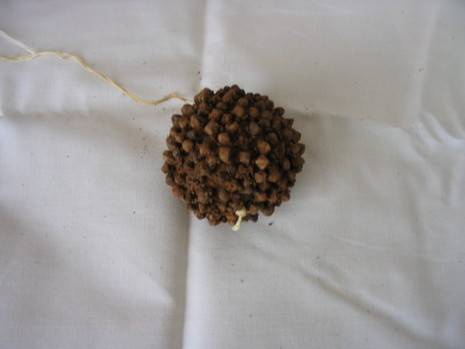 Clove filled ball ornament on top of linen surface.