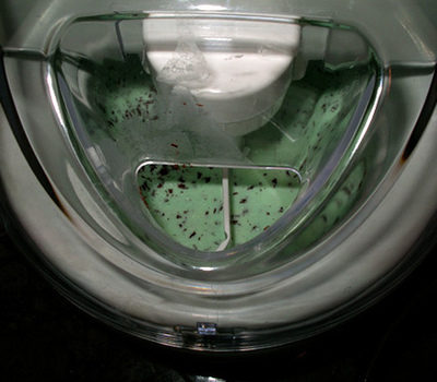 Mylanta-Mint Chocolate Chip Ice Cream in a mixing machine.