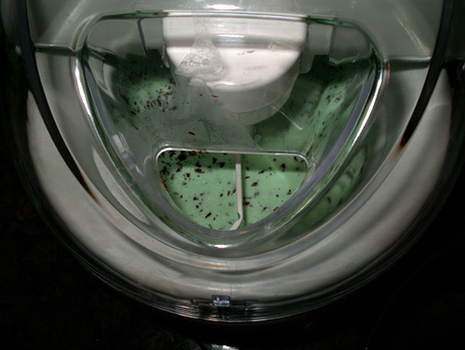 Mylanta-Mint Chocolate Chip Ice Cream in a mixing machine.