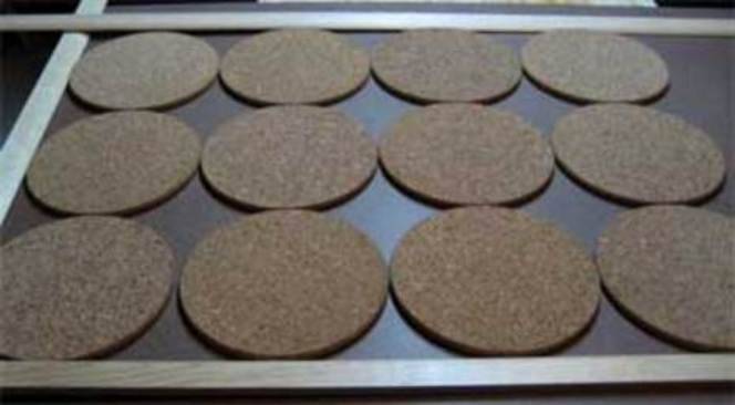 Twelve round disks are placed on a tray.
