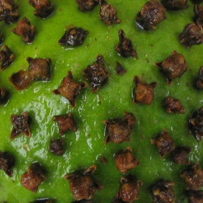 "pomanders made out with cloves"