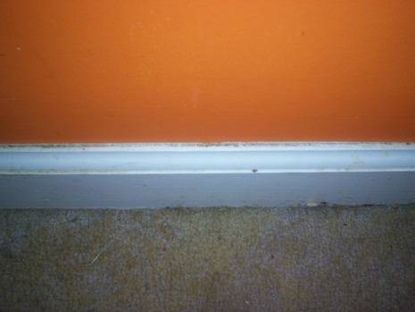 A light bluish carpet trim barrier underneath an orange wall.