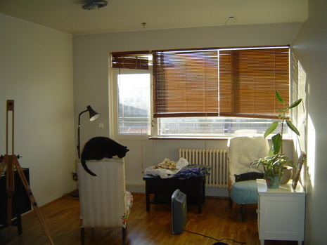 A dark cat is sitting on a laundry basket in a room with bamboo blinds and a green plant on a white side table.