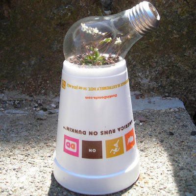 "Lightbulb Greenhouse from Recycled Materials"