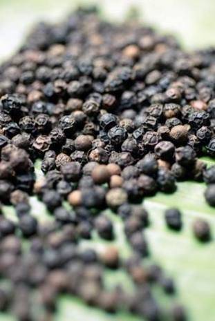 "Black pepper one of the spices"