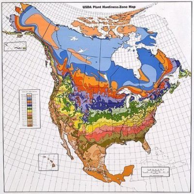 Colored map for gardening.