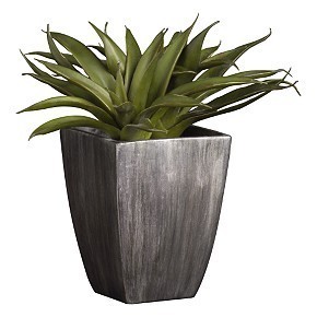 Potted green plant in a modern wood pot.