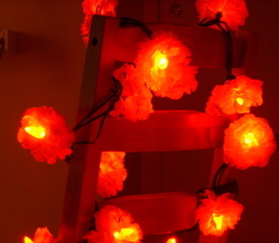 Plastic flower lights decorated to a chair.