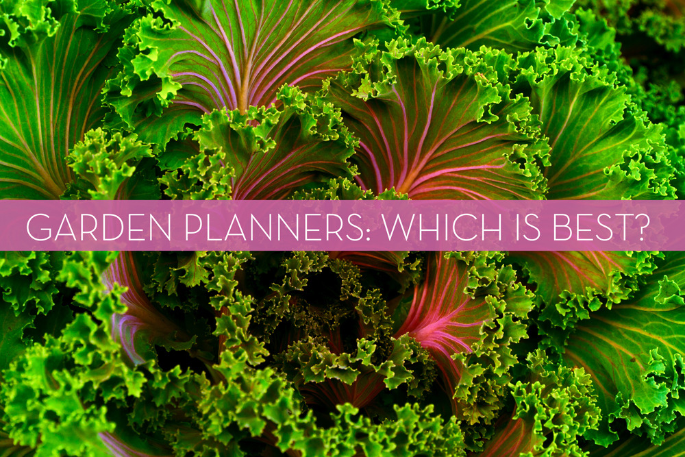 We found the best free online garden planner. 
