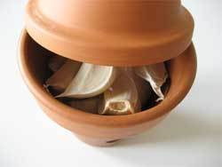 Garlic cloves in terracotta plastic container.