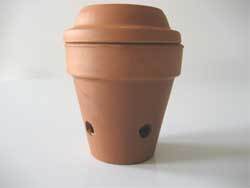 Terracotta pot with holes drilled on side and topped with water draining tray.