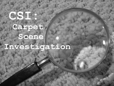 Carpet scene investigation with magnifying glass.
