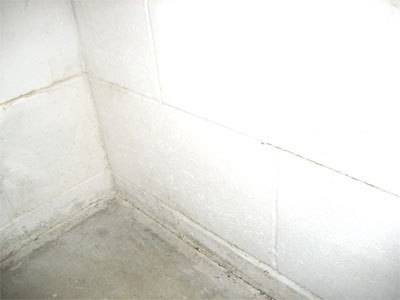 Corner of white tiled walls meeting the concrete floor