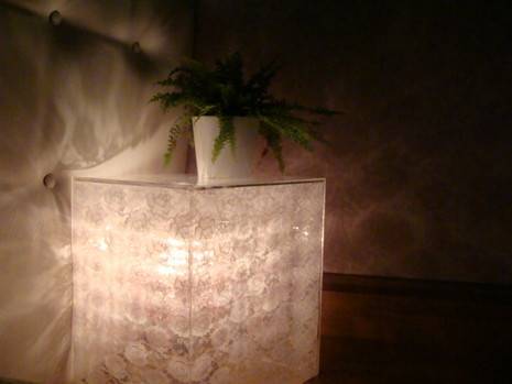 A plant is sitting on a lighted table.