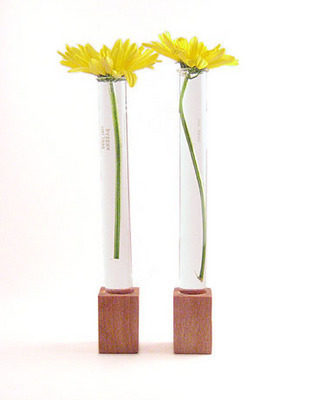 Flower test tube vases you can make it yourself