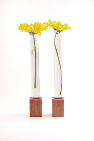 Flower test tube vases you can make it yourself