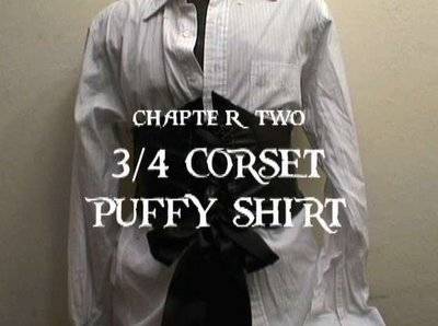 Pirates 3/4 corset puffy shirt costume.