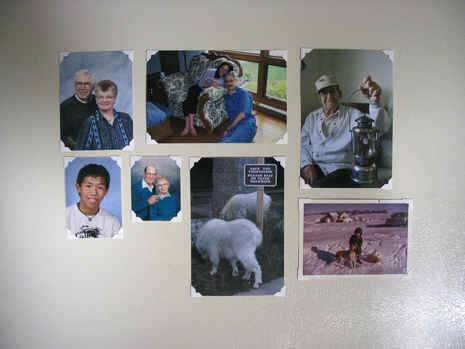 A collection of photos with magnetic corners.