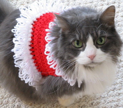 A furry grey cat dressed in a white and red crocheted top.
