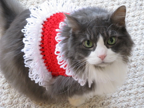 A furry grey cat dressed in a white and red crocheted top.