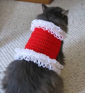 A grey cat with a red and white short sweater.