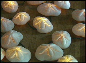 A large group of sea biscuits that have been made to be lit up.