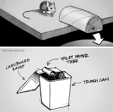 A brief illustrated instructional on how to catch a mouse with a toilet paper tube where the mouse goes through the tube and into a trash can.