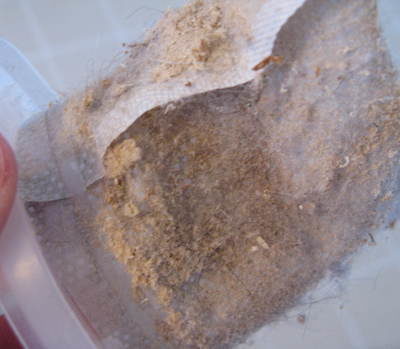 Person showing dust of vacuum filter.