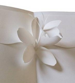 created on: 03/11/08