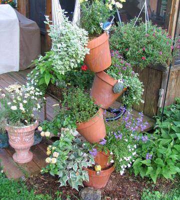 Several plants are arranged vertically in terra cotta pots outside.