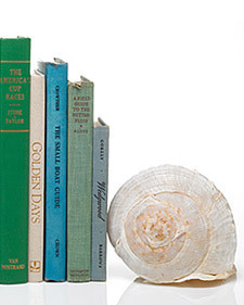 Five books held up by a white snail shell.