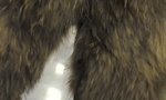 Part of a bigfoot costume which is made of fake brown fur.