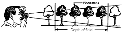 Drawing of a person looking at the row of trees with the help of a binocular.