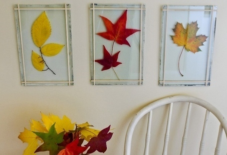 Reuse glass frames in 100 different ways.