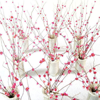 Several pink flowers are in white vases.