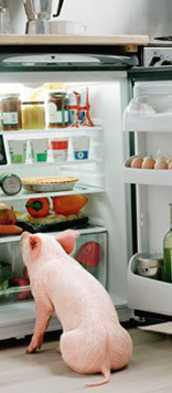 A pig is sitting on the floor in front of an open fridge.