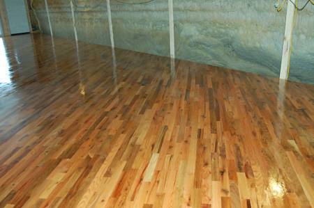 A freshly lacquered wood floor with cave wallpapering.
