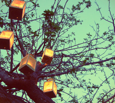 Glowing lanterns hanging in the branches of trees.